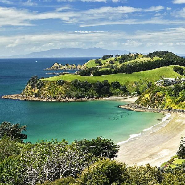 Waiheke Island 1